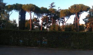 IMAG0094  