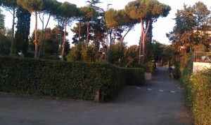 IMAG0095  