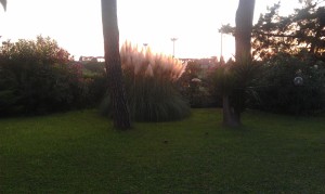 IMAG0098  